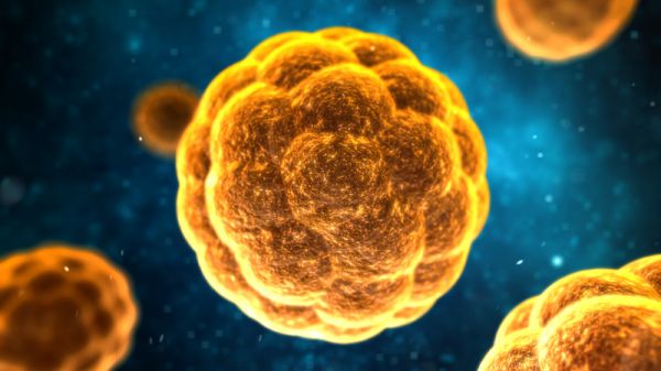 Xét nghiệm virus viêm gan A - Quy trình thực hiện và những lưu ý cần biết