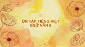 Ôn tập tiếng Việt Ngữ văn 6