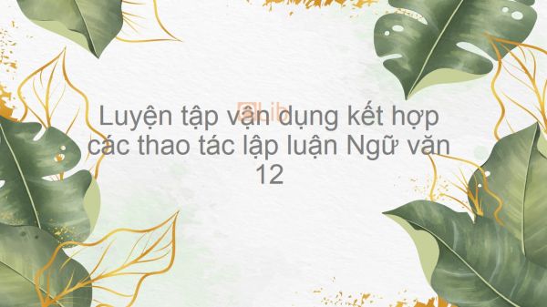 Luyện tập vận dụng kết hợp các thao tác lập luận Ngữ văn 12