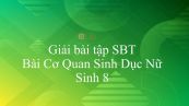 Giải bài tập SBT Sinh học 8 Bài 61: Cơ Quan Sinh Dục Nữ