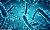 Bệnh nhiễm khuẩn Listeria monocytogenes - Triệu chứng, nguyên nhân và cách điều trị