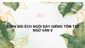 Soạn bài Ếch ngồi đáy giếng Ngữ văn 6 tóm tắt