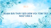 Soạn bài Thầy bói xem voi Ngữ văn 6 tóm tắt