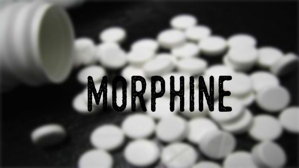 Dược lý học Morphin