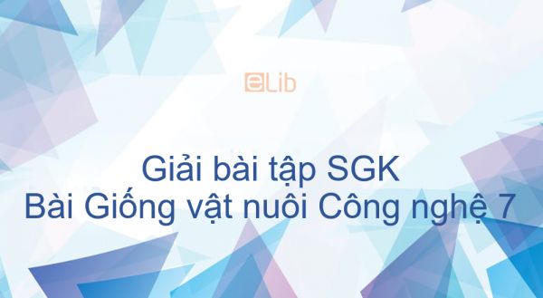 Giải bài tập SGK Công nghệ 7 Bài 31: Giống vật nuôi