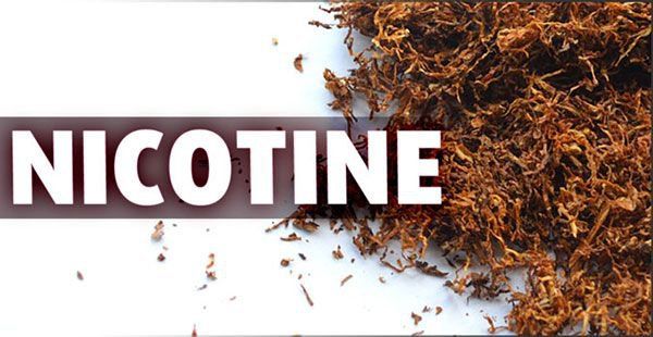 Thuốc Nicotine - Giúp cai thuốc lá