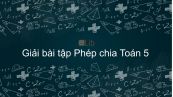 Giải bài tập SGK Toán 5 Bài: Phép chia