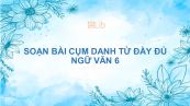 Soạn bài Cụm danh từ Ngữ văn 6 đầy đủ