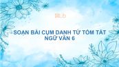 Soạn bài Cụm danh từ Ngữ văn 6 tóm tắt