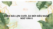 Soạn bài Lợn cưới, áo mới Ngữ văn 6 siêu ngắn