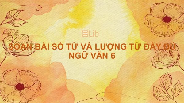 Soạn bài Số từ và lượng từ Ngữ văn 6 đầy đủ