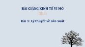 Bài 1: Lý thuyết về sản xuất
