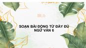 Soạn bài Động từ Ngữ văn 6 đầy đủ