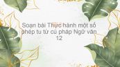 Soạn bài Thực hành một số phép tu từ cú pháp Ngữ văn 12 tóm tắt