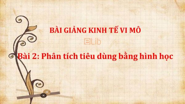 Bài 2: Phân tích tiêu dùng bằng hình học