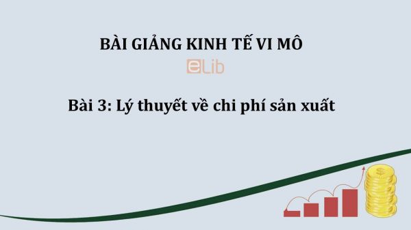 Bài 3: Lý thuyết về chi phí sản xuất