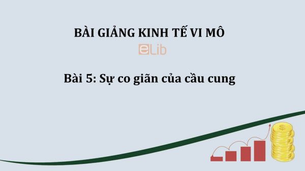 Bài 5: Sự co giãn của cầu cung