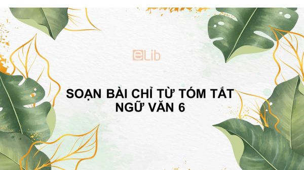 Soạn bài Chỉ từ Ngữ văn 6 tóm tắt