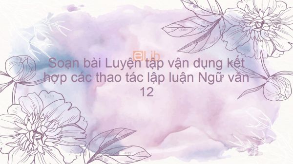 Soạn bài Luyện tập vận dụng kết hợp các thao tác lập luận Ngữ văn 12 đầy đủ