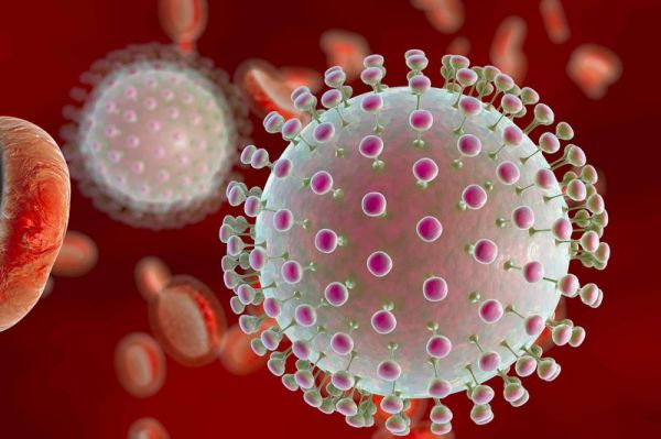 Bệnh nhiễm Virus Zika - Triệu chứng, nguyên nhân và cách điều trị