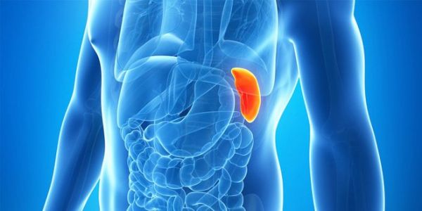 Bệnh vỡ lá lách - Triệu chứng, nguyên nhân và cách điều trị
