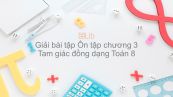 Giải bài tập SGK Toán 8 Ôn tập chương 3: Tam giác đồng dạng