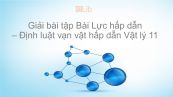 Giải bài tập SGK Vật lý 10 Bài 11 : Lực hấp dẫn - Định luật vạn vật hấp dẫn