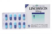 Thuốc Lincomycin - Điều trị nhiễm khuẩn nặng