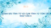 Soạn bài Tính từ và cụm tính từ Ngữ văn 6 tóm tắt