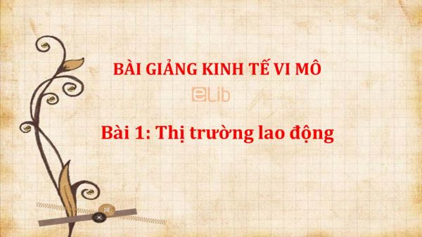 Bài 1: Thị trường lao động