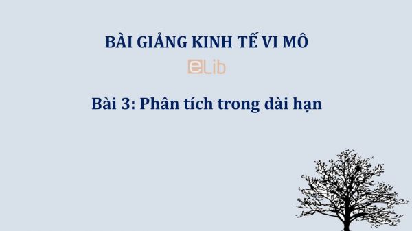 Bài 3: Phân tích trong dài hạn