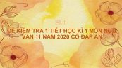 10 đề kiểm tra 1 tiết HK1 môn Ngữ văn 11 năm 2020 có đáp án