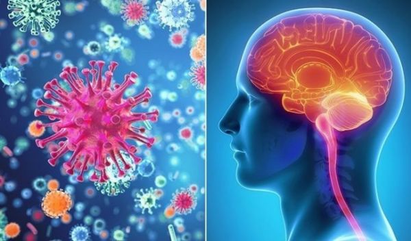 Bệnh viêm màng não do virus - Triệu chứng, nguyên nhân và cách điều trị