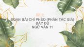 Soạn bài Chí Phèo (phần tác giả) Ngữ văn 11 đầy đủ