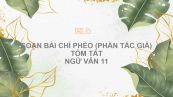 Soạn bài Chí Phèo (phần tác giả) Ngữ văn 11 tóm tắt