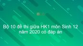 10 đề thi giữa Học kì 1 môn Sinh lớp 12 năm 2020 có đáp án