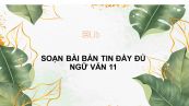 Soạn bài Bản tin Ngữ văn 11 đầy đủ