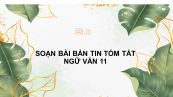 Soạn bài Bản tin Ngữ văn 11 tóm tắt