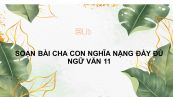 Soạn bài Cha con nghĩa nặng Ngữ văn 11 đầy đủ