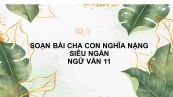 Soạn bài Cha con nghĩa nặng Ngữ văn 11 siêu ngắn