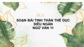 Soạn bài Tinh thần thể dục Ngữ văn 11 siêu ngắn