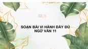 Soạn bài Vi hành Ngữ văn 11 đầy đủ