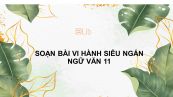 Soạn bài Vi hành Ngữ văn 11 siêu ngắn
