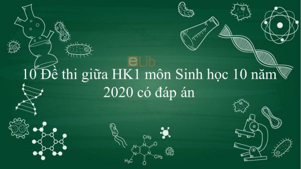 10 Đề thi giữa Học kì 1 môn Sinh học 10 năm 2020 có đáp án