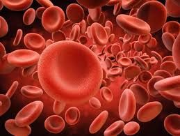 Hội chứng huyết tán tăng ure máu - Triệu chứng, nguyên nhân và cách điều trị