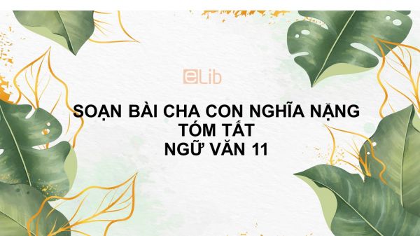 Soạn bài Cha con nghĩa nặng Ngữ văn 11 tóm tắt