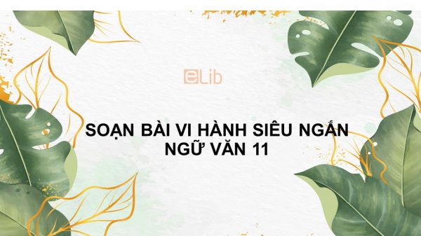 Soạn bài Vi hành Ngữ văn 11 siêu ngắn