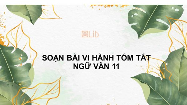 Soạn bài Vi hành Ngữ văn 11 tóm tắt