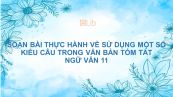 Soạn bài Thực hành về sử dụng một số kiểu câu trong văn bản Ngữ văn 11 tóm tắt