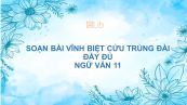 Soạn bài Vĩnh biệt Cửu Trùng Đài Ngữ văn 11 đầy đủ